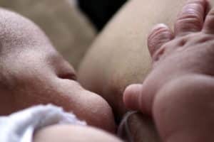 Alimentation bébé